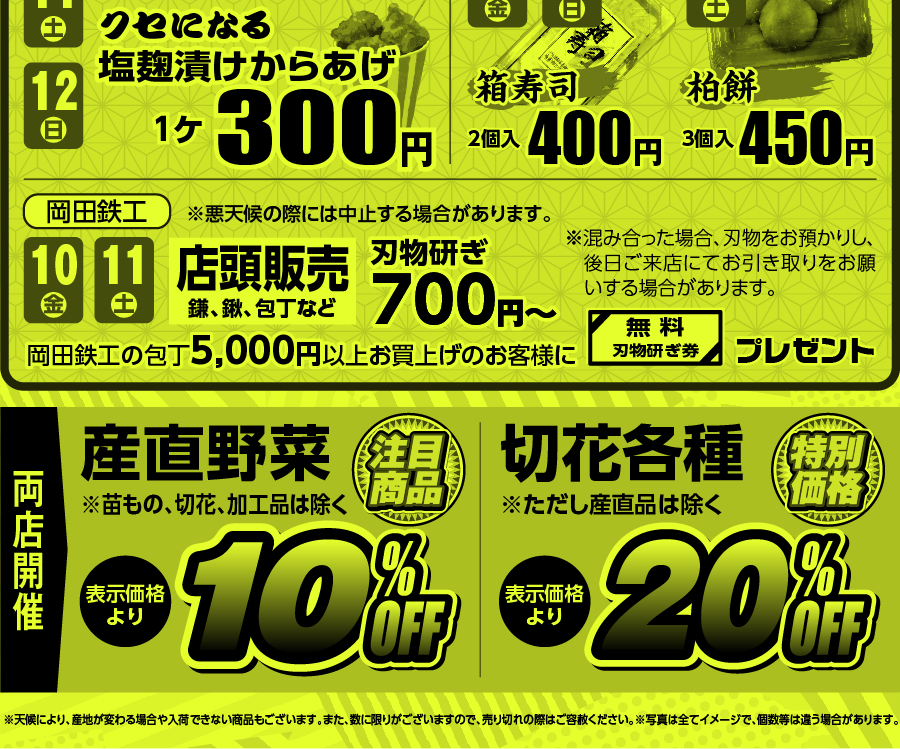アートボード5-100
